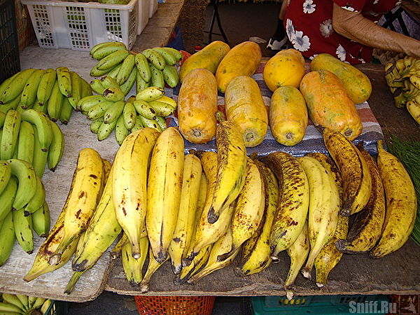 бананы - убийцы